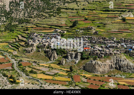 Blick auf das Dorf Manang und der Agrarlandschaft aus dem oberen Marsyangdi Tal mit Terrasse-Felder Stockfoto