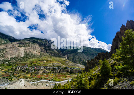 Luftaufnahme auf dem Dorf manang und die landwirtschaftliche Landschaft des Oberen marsyangdi Tal mit Terrasse Felder Stockfoto