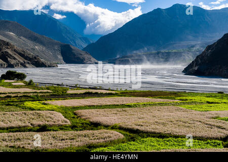 Blick auf die landwirtschaftliche Landschaft des Kali Gandaki Tal mit Gerste und Buchweizen Felder, starke Winde verursachen Staub Flags Stockfoto