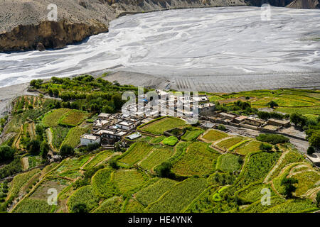 Luftaufnahme von tiri Gompa im oberen Mustang auf dem Dorf, auf einer grünen Halbinsel in der Kali Gandaki Tal Stockfoto