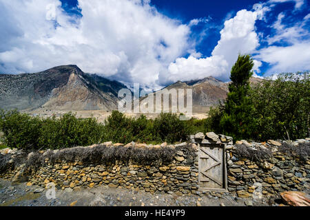 Eine Mauer aus Stein ist umgeben von einem Obstgarten in der Kali Gandaki Tal Stockfoto