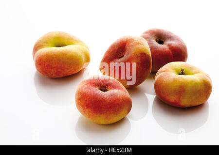 Chinesische flachen Pfirsiche (Prunus Persica var. Platycarpa) Stockfoto