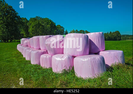 Silageballen in rosa Plastik wickeln, Bayern, Deutschland Stockfoto