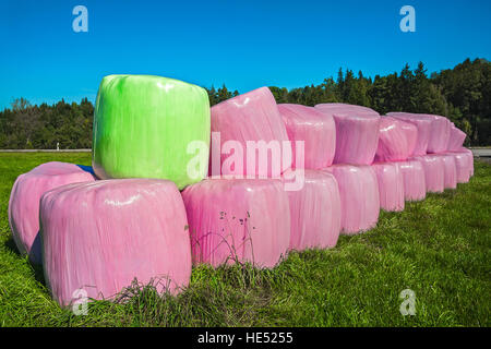 Silageballen in rosa und grün Kunststoff wickeln, Bayern, Deutschland Stockfoto