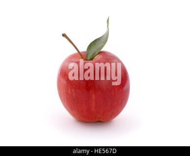 roter Apfel im Vordergrund auf weißem Hintergrund Stockfoto