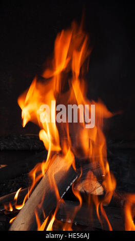 Eichenstämme sind mit Farbe orange Flamme brennen. Stockfoto