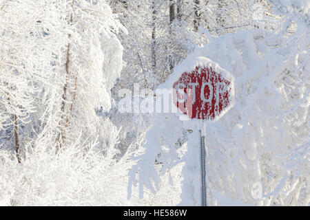 Stop-Schild bedeckt mit Schnee mit frostigen Äste im Hintergrund. Stockfoto