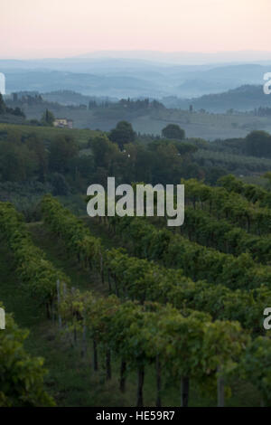 Toskanischen Hügel und die Landschaft von der Straße Santa Lucia, San Gimignano, Toskana, Italien. Stockfoto