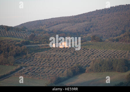 Toskanischen Hügel und die Landschaft von der Straße Santa Lucia, San Gimignano, Toskana, Italien. Stockfoto