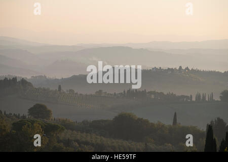 Morgendämmerung in der Umgebung von San Gimignano, Toskana. Stockfoto