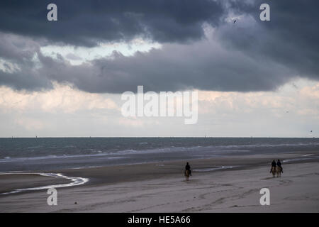 Reiten am Strand. Strand von Malo-les-Bains, Dünkirchen, Frankreich. Stockfoto