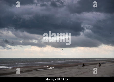 Reiten am Strand. Strand von Malo-les-Bains, Dünkirchen, Frankreich. Stockfoto