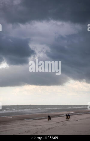 Reiten am Strand. Strand von Malo-les-Bains, Dünkirchen, Frankreich. Stockfoto