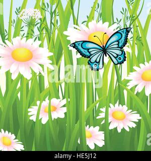 Blumenwiese im Sommer mit Schmetterling Stock Vektor