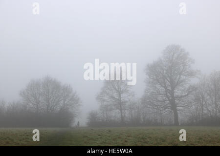 Tolworth, Surrey, UK. 17. Dezember 2016. UK-Wetter: Neblig Tag in Tolworth. Eine Frau geht ihren Hund an einem nebligen und trüben Tag in Tolworth Court Farm Nature Reserve. © Julia Gavin UK/Alamy Live-Nachrichten Stockfoto