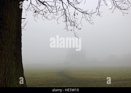 Tolworth, Surrey, UK. 17. Dezember 2016. UK-Wetter: Neblig Tag in Tolworth. Bäume im Nebel an einem grau und trübe Tag in Tolworth Court Farm Nature Reserve. © Julia Gavin UK/Alamy Live-Nachrichten Stockfoto