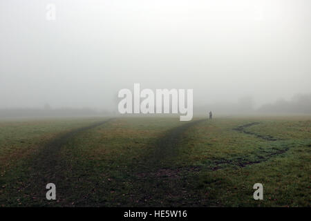 Tolworth, Surrey, UK. 17. Dezember 2016. UK-Wetter: Neblig Tag in Tolworth. Ein Mann geht seinen Hund an einem nebligen und trüben Tag in Tolworth Court Farm Nature Reserve. © Julia Gavin UK/Alamy Live-Nachrichten Stockfoto