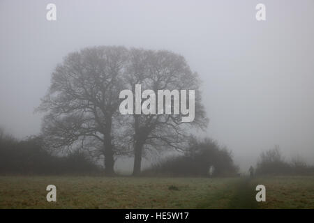 Tolworth, Surrey, UK. 17. Dezember 2016. UK-Wetter: Neblig Tag in Tolworth. Ein Mann geht seinen Hund an einem nebligen und trüben Tag in Tolworth Court Farm Nature Reserve. © Julia Gavin UK/Alamy Live-Nachrichten Stockfoto