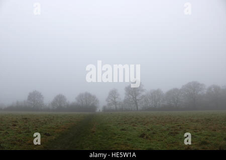 Tolworth, Surrey, UK. 17. Dezember 2016. UK-Wetter: Neblig Tag in Tolworth. Eine Frau geht ihren Hund an einem nebligen und trüben Tag in Tolworth Court Farm Nature Reserve. © Julia Gavin UK/Alamy Live-Nachrichten Stockfoto