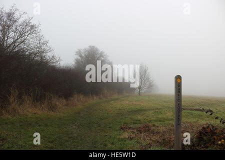 Tolworth, Surrey, UK. 17. Dezember 2016. UK-Wetter: Neblig Tag in Tolworth. Einen nebligen und trüben Tag im Tolworth Court Farm Nature Reserve. © Julia Gavin UK/Alamy Live-Nachrichten Stockfoto