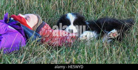 Sieversdorf, Deutschland. 16. Dezember 2016. Zehn-jährige Mädchen Amy aus Sieversdorf liegt in einem Feld mit Tilda, einen neun Wochen alten Border-Collie-Welpen in Sieversdorf, Deutschland, 16. Dezember 2016. Seit einer Woche zwei untrennbare Freunde geworden. Foto: Patrick Pleul/Dpa-Zentralbild/Dpa/Alamy Live News Stockfoto