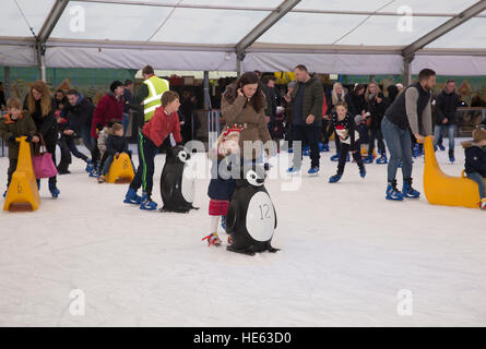 Sidcup, UK. 18. Dezember 2016. Familien Schlittschuh und den festlichen Spaß am Ruxley Manor Garden Centre. Jüngere Kinder können Pinguin Skate Aids oder Banane Skate Aids zu © Keith Larby/Alamy Live News Stockfoto