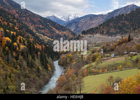 Herbst in den Bergen des Kaukasus, Georgien. Stockfoto