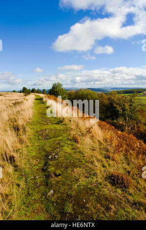 Begrabe Gräben Eisenzeit Wallburg in der Nähe von Clun, Shropshire, England, UK Stockfoto