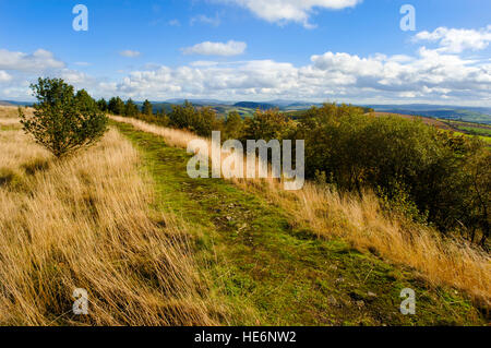 Begrabe Gräben Eisenzeit Wallburg in der Nähe von Clun, Shropshire, England, UK Stockfoto