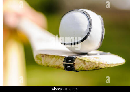 Sloitar (Kugel) auf ein schleudern, in der irischen Spiel Hurling, das schnellste Ballspiel der Welt verwendet. Stockfoto