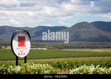 Das Hunter Valley Wine Region Weinberge ist 2 Autostunden nördlich von Sydney in New South Wales, Australien. Hermitage Essen trail Stockfoto