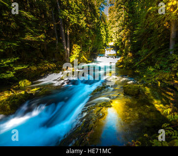 McKensie Fluss hinunter vom Sahalie fällt Oregon Willamette National Forest Stockfoto