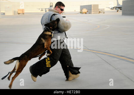 Bono, ein militärischer Arbeitshund, kuppelt Airman 1st Class Charles Porter während einer Biss-Anzug-Demonstration, 22. Juli 2012. Militärische Working Dog Handler brachten ihre Hunde aus den Zwingern Kandahar airfield, Afghanistan an der Flightline Demonstrationen um den Flieger zu. Mitglieder der 169. Kämpfer-Flügel an McEntire Joint National Guard Base, S.C., werden auf KAF Operation Enduring Freedom bereitgestellt. Swamp Fox f-16 Piloten und Support-Mitarbeiter begannen ihre Air Expeditionary Force Bereitstellung Anfang April fliegen Missionen für das Air tasking Bestellung übernehmen und schließen Stockfoto