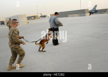 Senior Airman Dustin Fontenot ruft Bono, ein militärischer Arbeitshund, um ihn während einer Biss-Anzug-Demonstration zu jagen. Militärische arbeiten Hundeführer brachte ihre Hunde aus den Zwingern Kandahar airfield, Afghanistan, an der Flightline zu Demonstrationen der Flieger 22. Juli 2012. Mitglieder der 169. Kämpfer-Flügel an McEntire Joint National Guard Base, S.C., werden in Kandahar Flugplatz Operation Enduring Freedom bereitgestellt. Swamp Fox f-16 s, Piloten und Support-Mitarbeiter begannen ihre Luft Expeditionskorps Bereitstellung Anfang April zu Missionen für das Air tasking Bestellung übernehmen Stockfoto