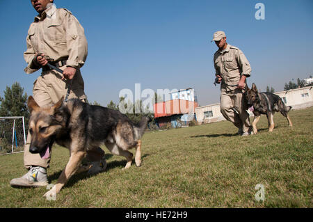 100903-F-1020B-023.jpg Kabul - afghanische Grenzpolizei Offiziere durchlaufen einer Übung mit ihren Hunden während einer sechsmonatigen Ausbildung lernen, wie man die Hundeführer bei der Minensuche Center in Kabul 3. November 2010 geworden. Das Trainingsprogramm gliedert sich in drei Phasen; der erste betrifft den Unterricht Teil für Handler, wo sie erfahren Sie über Drogen, improvisierte Sprengsätze und Minensuche mehr während die Eckzähne einen Prozess der Sozialisation durchlaufen. Während der zweiten Phase Handler sind eine Partnerschaft mit ihrem Hund und in Phase drei der Handler-Hund-Team lernen ihre Spezialität-s Stockfoto