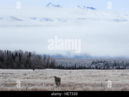 Ein US-Army Fallschirmjäger mit dem 4th Brigade Combat Team, 25. Infanterie-Division führt einen Ausbildung Fallschirm Angriff an der Malamute-Drop-Zone am gemeinsamen Basis Elmendorf-Richardson (JBER), Alaska, 13. November 2012.  Justin Connaher, US Airforce Stockfoto