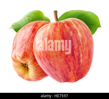 Isolierte Äpfel. Zwei rot gestreiften Äpfel auf einem Zweig mit Blättern isoliert auf weißem Hintergrund mit Beschneidungspfad Stockfoto