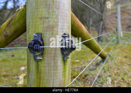 Elektrozaun Draht geht über Isolatoren auf Holzzaun Beitrag, England Stockfoto
