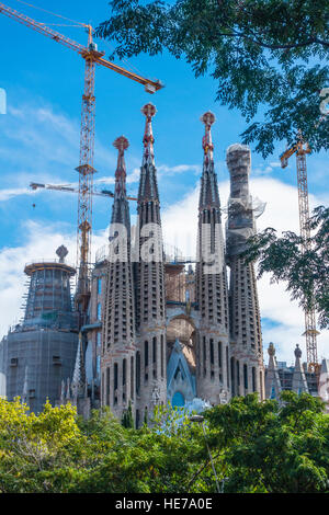 Blick durch die Wipfel der Türme und Baukräne der Sagrada Familia in Barcelona, Spanien. Stockfoto