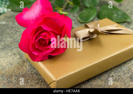 Rote Rose auf Stein Hintergrund Stockfoto