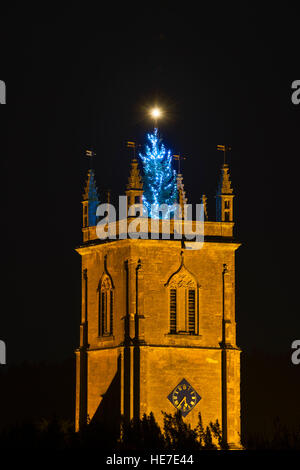 Weihnachtsbaum beleuchtet in der Nacht auf Peter & St-Paul-Kirche, Blockley, Cotswolds, Gloucestershire, England