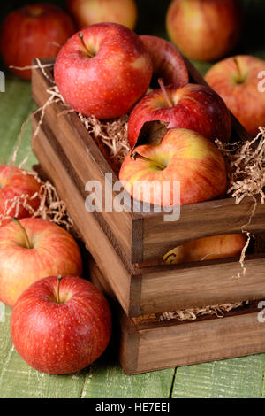 Bio rote Äpfel in Holzkiste Stockfoto