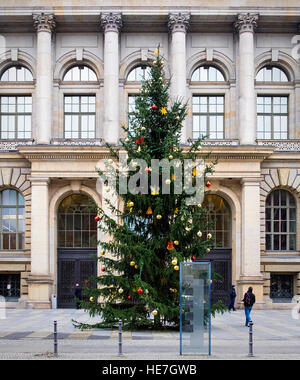 Weihnachtsbaum außerhalb Abgeordnetenhaus von Berlin, Abgeordnetenhaus von Berlin Regierungsgebäude Stockfoto