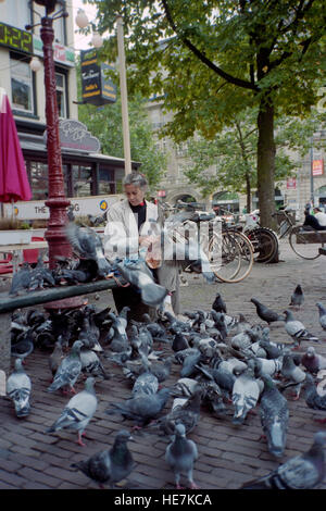 ein Weibchen füttern Tauben auf einem öffentlichen Platz in Amsterdam holland Stockfoto