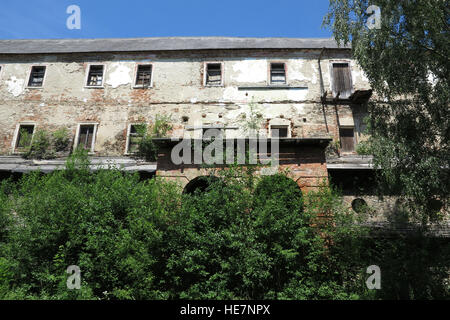 Pivon - Ruinen des Augustinerklosters aus dem 14. Jahrhundert Stockfoto