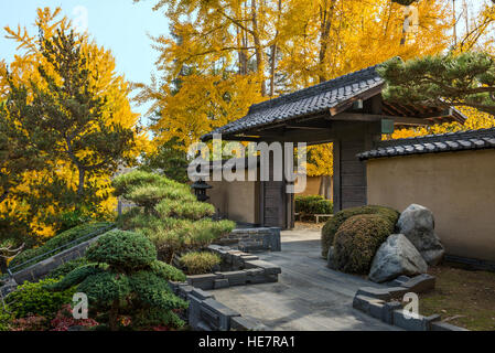 Die wunderschönen Herbstfarben der japanischen Gärten in der Huntington Library. Stockfoto