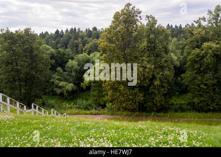 Weiße Treppe geht in den Wald. Überall weiße Blüten im grünen Rasen. Im Hintergrund, viele Bäume und Kiefern. Stockfoto