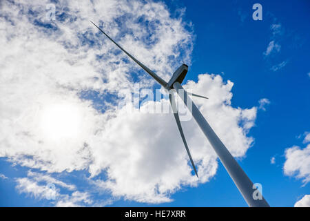 Windenergieanlage vor einem blauen Himmel, Australien Stockfoto