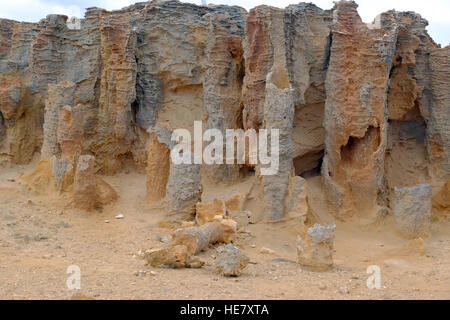 Versteinerte Bäume auf der Great Ocean Road an der australischen Küste, Stockfoto