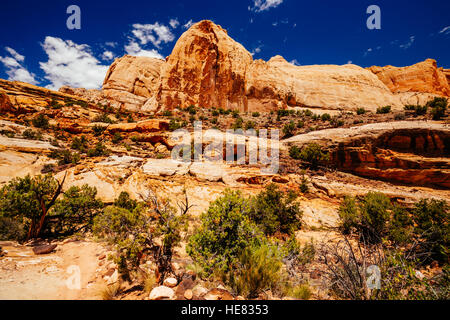 Der Weg zur Hickman Bridge ist beliebteste Wanderung Capitol Reef National Park und mit fantastischen Blick auf Waterpocket Fold und die majestätischen nat Stockfoto